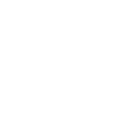 Ícone-1
